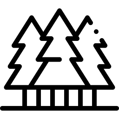 activity icon